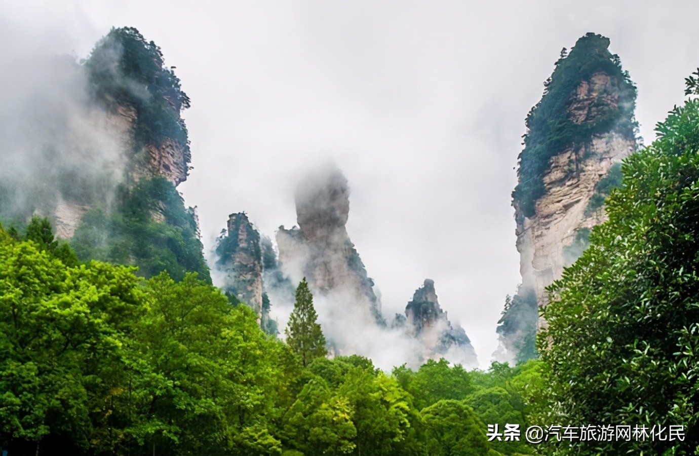 韶山+张家界+芙蓉镇+凤凰古城4日游 199元 湘西芙蓉直通车