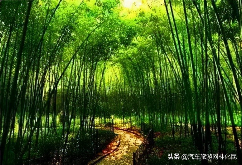 登山揽胜赏红叶，爱在金秋石门坊.北国小江南 l临朐老龙湾