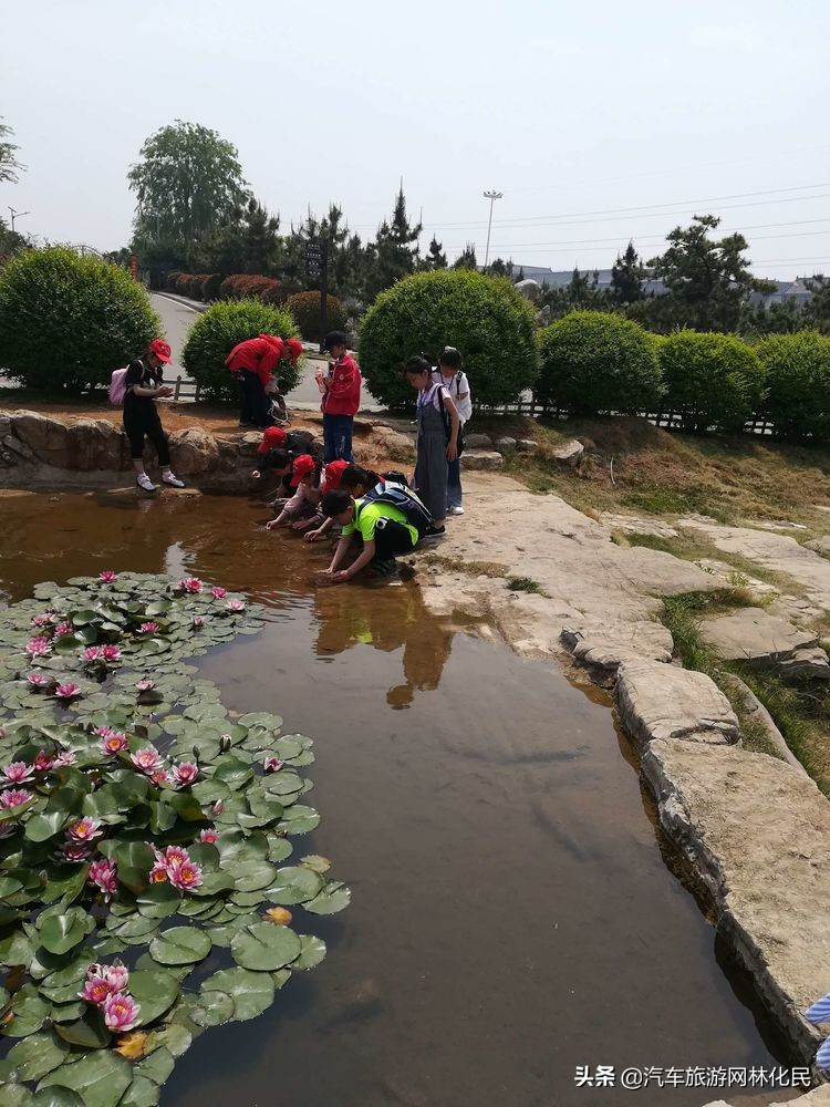 “天下巨石第一阵”4A级景区-------临沂费县云瀑洞天