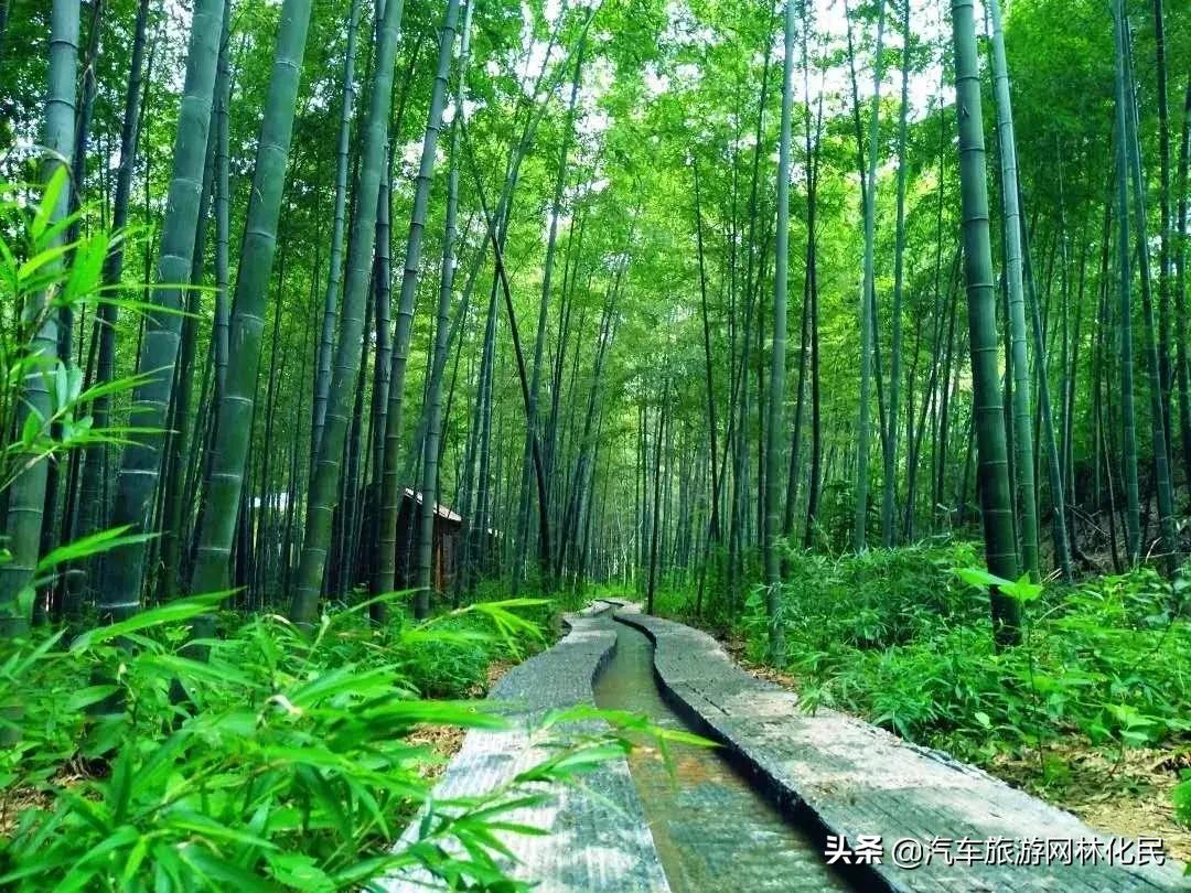 去日照旅游必选到竹洞天景区一游